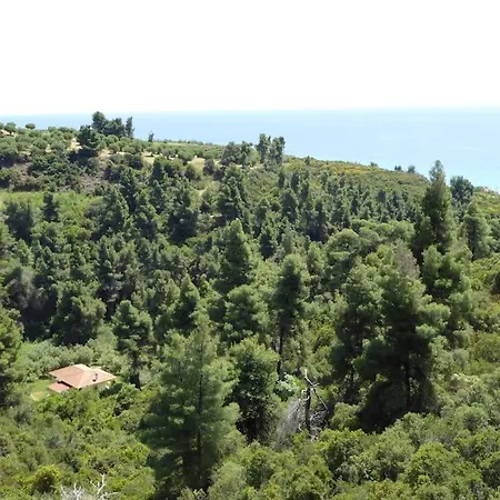 Дом отдыха Pine Tree *