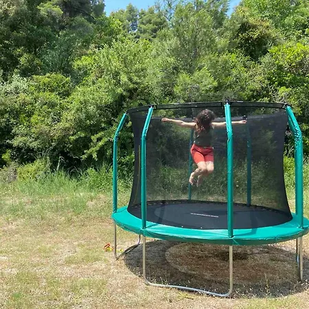 Pine Tree Дом отдыха *