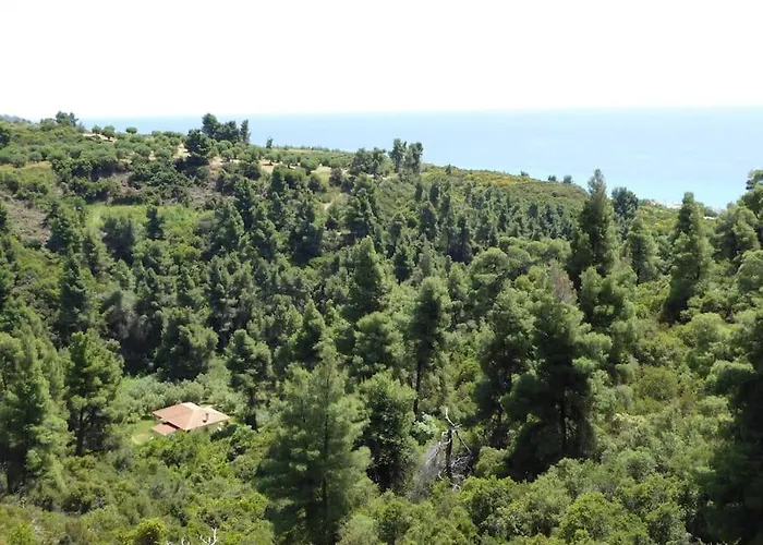 Vakantiehuis Pine Tree *
