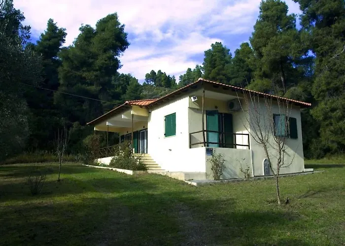 Vakantiehuis Pine Tree *