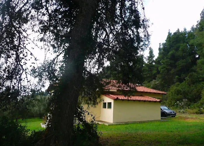 Pine Tree Vakantiehuis *