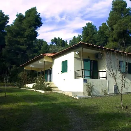 Holiday home Pine Tree *