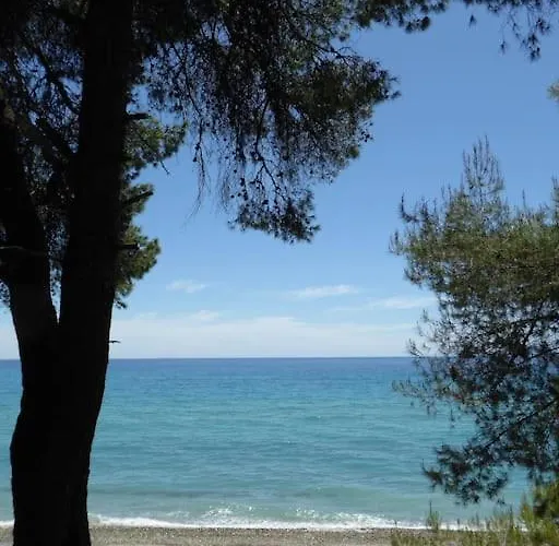 Casa vacanze Pine Tree