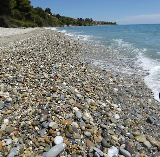 Pine Tree Casa vacanze