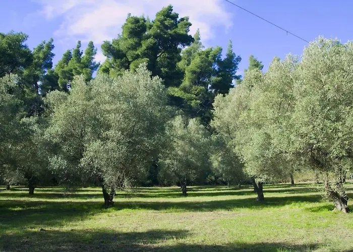 Casa vacanze Pine Tree *