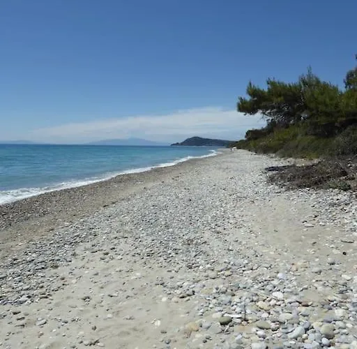 Casa vacanze Pine Tree Nea Skioni