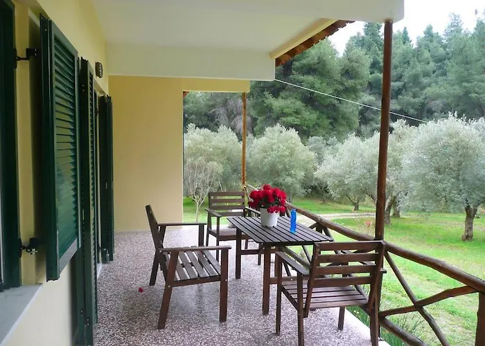 Pine Tree Nea Skioni