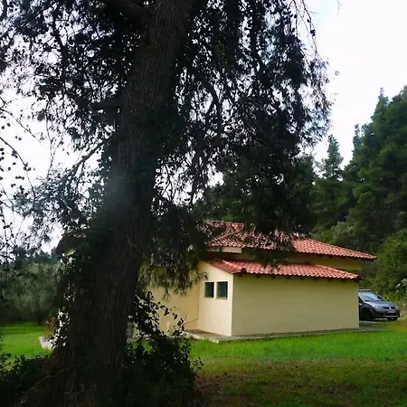 Pine Tree Hébergement de vacances *