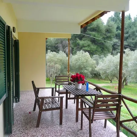 Pine Tree Nea Skioni